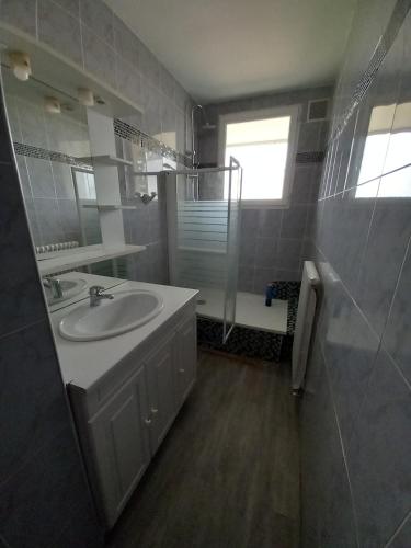 une salle de bain avec un lavabo, une douche et un miroir dans l'établissement Appartement T5 pouvant accueillir 8 personnes, à Colomiers