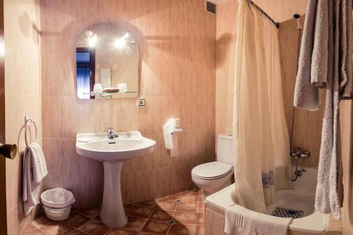 uma casa de banho com um lavatório, um WC e um chuveiro em Hostal Romi em Cantalejo