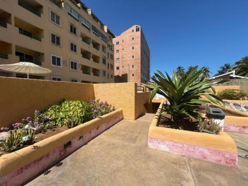 two planters with plants in them next to a building at Manolo IV,playa y relajacion in Tucacas