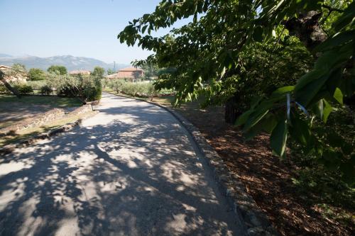 an empty road with trees on the side of it at Agriturismo La Molara in Sessa Aurunca