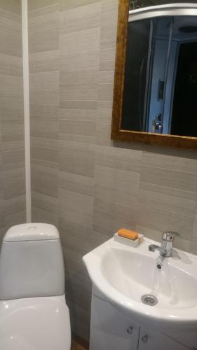 a bathroom with a toilet and a sink and a mirror at Vetesina in Pärnu