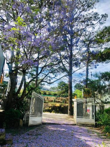 a white gate with a tree with purple flowers at Hùng Nam House in Khu Chi Lăng