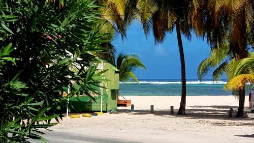 a green building on a beach with palm trees at Chambre créole et sa salle de bain chez Michelle in La Désirade