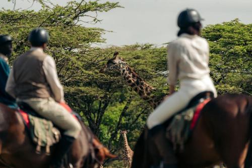 a group of people on horses looking at a giraffe at Pearl Mara in Masai Mara