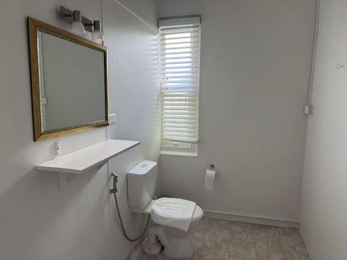 a bathroom with a toilet and a sink and a mirror at Hearty Center Motel in Katoomba