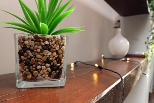 a glass vase filled with rocks and a plant on a table at Central Cardiff Victorian Town House Free parking in Cardiff