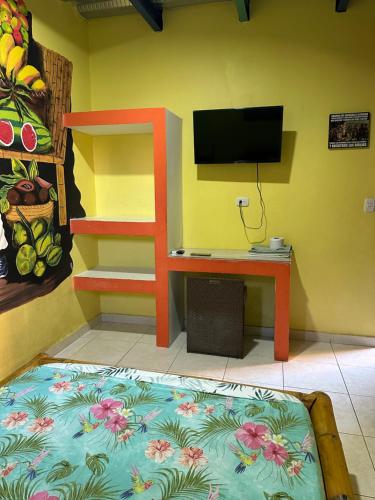 TV a/nebo společenská místnost v ubytování Hostal Bambumar