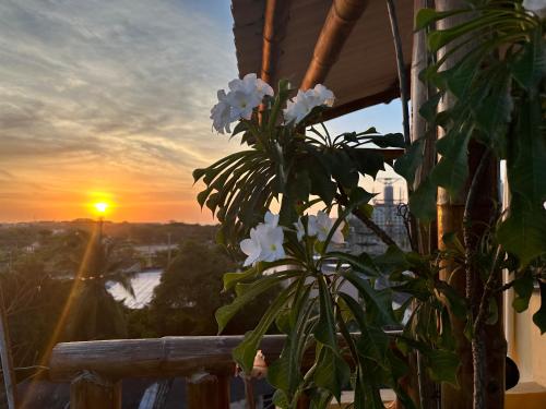 Lanskap alam di dekat guest house