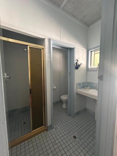 a bathroom with a shower and a toilet and a sink at Riverside Motel & Marina in Wahgunyah