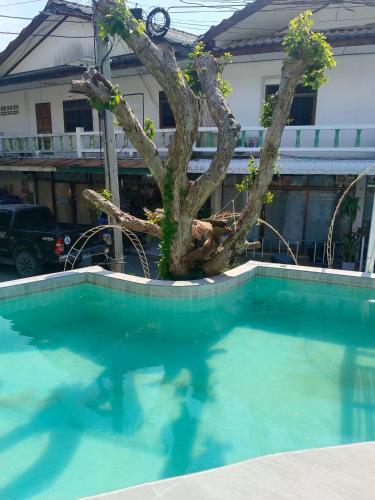 a tree sitting next to a swimming pool at Haadrin village Fullmoon in Haad Rin