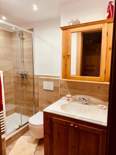 une salle de bain avec un lavabo, des toilettes et une douche dans l'établissement Evasion Unique Ski au Pieds, à Montgenèvre