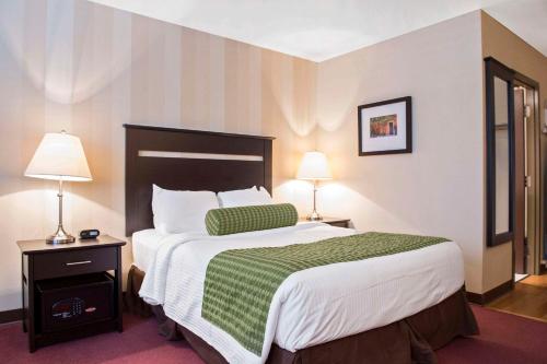 a hotel room with a large bed and two lamps at Quality Inn and Conference Centre in Pembroke