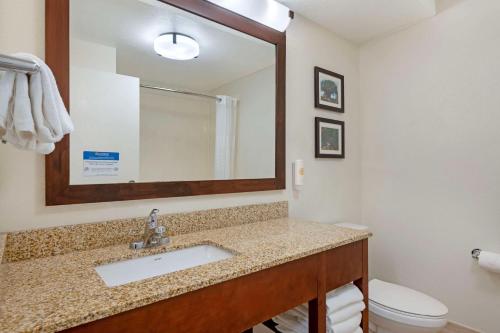 Comfort Suites Downtown Image