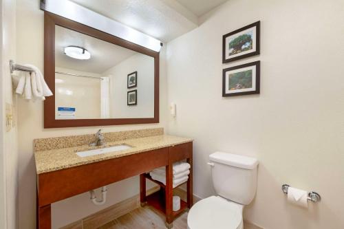 Comfort Suites Downtown Image