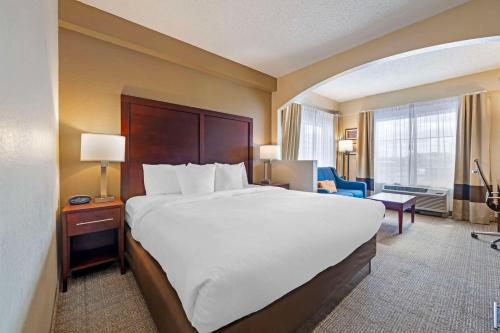 Comfort Suites Downtown Image