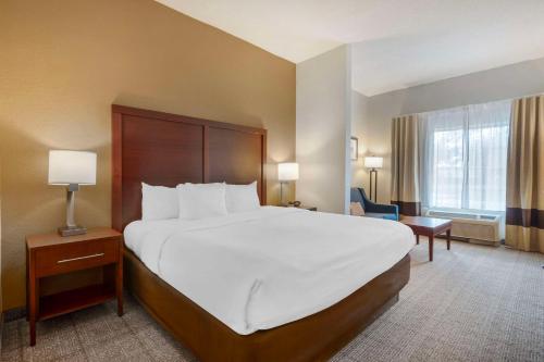 Comfort Suites Downtown Image