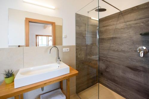 un bagno con lavandino e doccia di Peter Paul Studio Buchwald ad Appiano Sulla Strada Del Vino