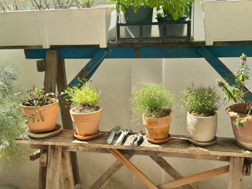 a wooden table with potted plants on it at Your Home AYUTTHAYA in Phra Nakhon Si Ayutthaya