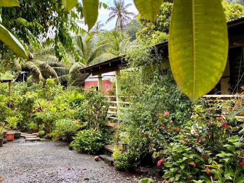 a garden with lots of plants and flowers at Chez Nina CH in Taputapuapea