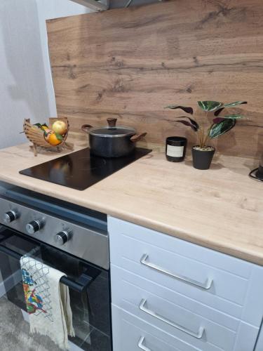 Dapur atau dapur kecil di Сдается 2- х комнатная квартира люкс с шикарным видом на озеро