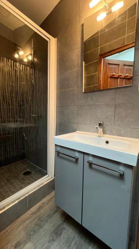 a bathroom with a sink and a shower at Villa Liberté Verdun IGR Paul Brousse in Villejuif