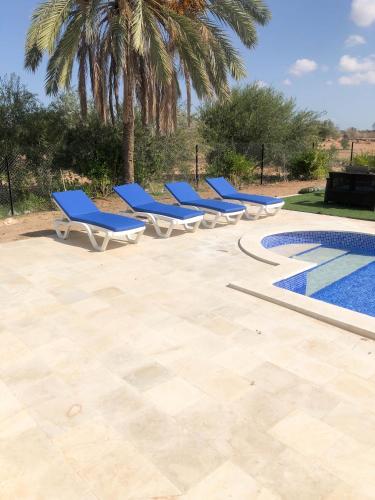 a row of blue lounge chairs next to a swimming pool at Villa Walegh in Ouallarh