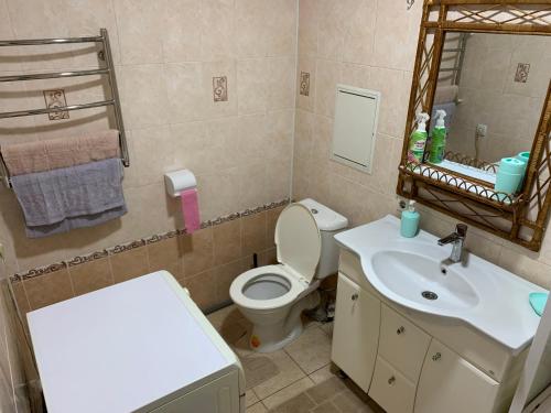 a bathroom with a toilet and a sink and a mirror at APARTMENT PREMIUM VIP in Berdychiv
