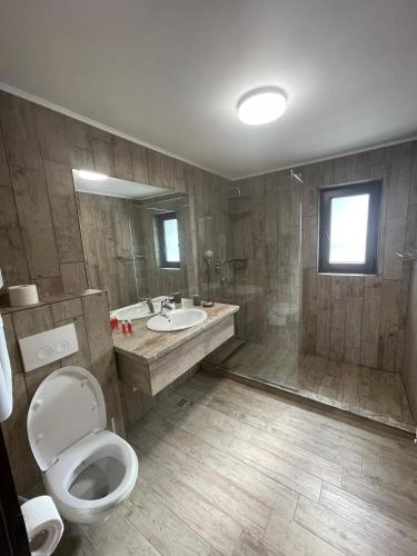 a bathroom with a toilet and a sink at Club Vila Bran in Bran