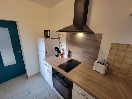 une cuisine avec un évier et un réfrigérateur dans l'établissement Appartement tout équipé avec terrasse à 600m du centre thermal, à Lamalou-les-Bains