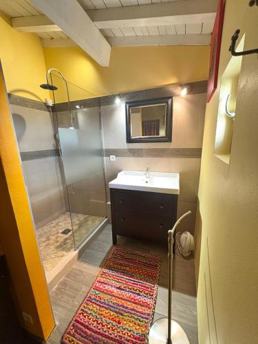 une salle de bain avec une douche, un lavabo et un miroir dans l'établissement La petite Major Arles centre, à Arles