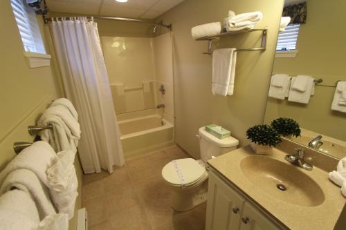 een badkamer met een wastafel, een toilet en een douche bij Tanglwood Resort, a VRI resort in Hawley