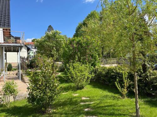 a garden with trees and bushes in a yard at Apartment Luise in Bad Liebenstein
