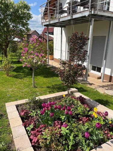 a garden of flowers in front of a house at Apartment Luise in Bad Liebenstein