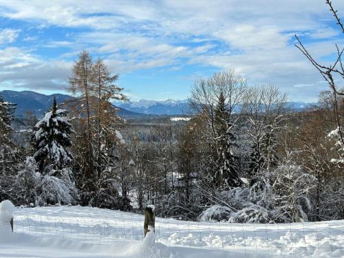 a snow covered field with trees and mountains in the background at Bio-Landhotel Moarwirt in Dietramszell