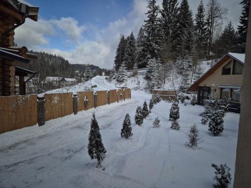 a yard covered in snow with christmas trees at Lar&Den in Predeal