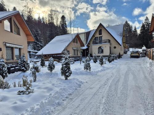 a house with christmas trees in the snow at Lar&Den in Predeal