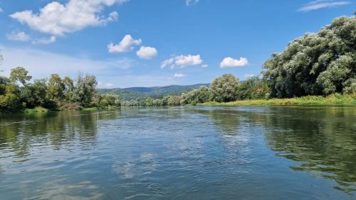 a river with trees and clouds in the sky at Osada Załuż in Sanok