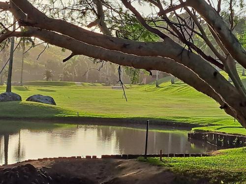 a tree hanging over a pond in a park at Luxury 4 bed villa in San Lameer golf beach estate in Southbroom