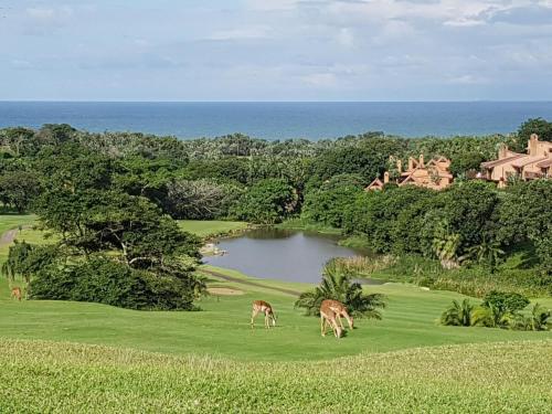 two deer grazing on a golf course with a lake at Luxury 4 bed villa in San Lameer golf beach estate in Southbroom