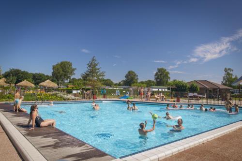 a group of people playing in a swimming pool at Glamping De Boshoek in Voorthuizen