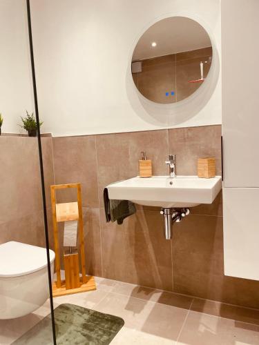 a bathroom with a sink and a toilet and a mirror at Haus am Jungbrunnen Apartment 1 in Bad Orb