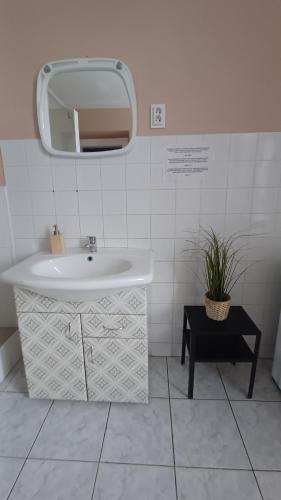 Koupelna v ubytování Ubytovaní U Dvora