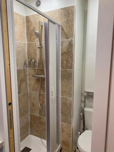 une salle de bain avec douche et toilettes dans l'établissement studio pied des pistes, à Orcières