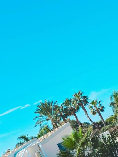 a house with palm trees and a blue sky at B&b A Due Passi Dal Sole in Porto Empedocle