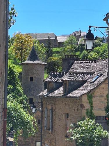 a group of buildings with roofs and street lights at Maison avec magnifique vue et piscine privative in Saint-Félix-de-Lunel