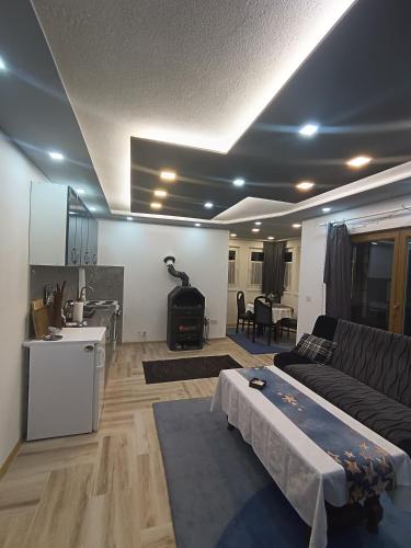Χώρος καθιστικού στο Apartmani Villa Deleon Bjelasnica