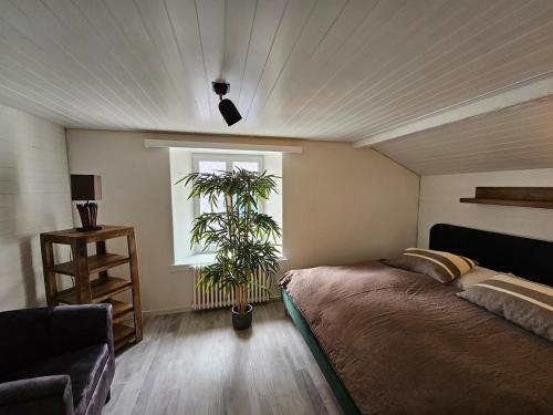 a bedroom with a bed and a plant in front of a window at Attic apartment with private terrace in Walenstadt
