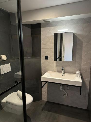 une salle de bain avec un lavabo, des toilettes et un miroir dans l'établissement Studio tendance - Chambéry, à Chambéry