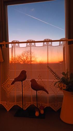 two birds sitting on a window sill with the sunset at NemCsuri Vendegház Somló in Somlóvásárhely