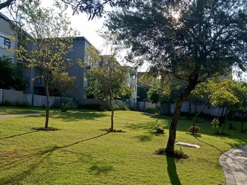two trees in a yard in front of a building at Tranquility facing Steyn City in Sandton